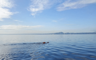 Gordon Watt Crosses the Forth
